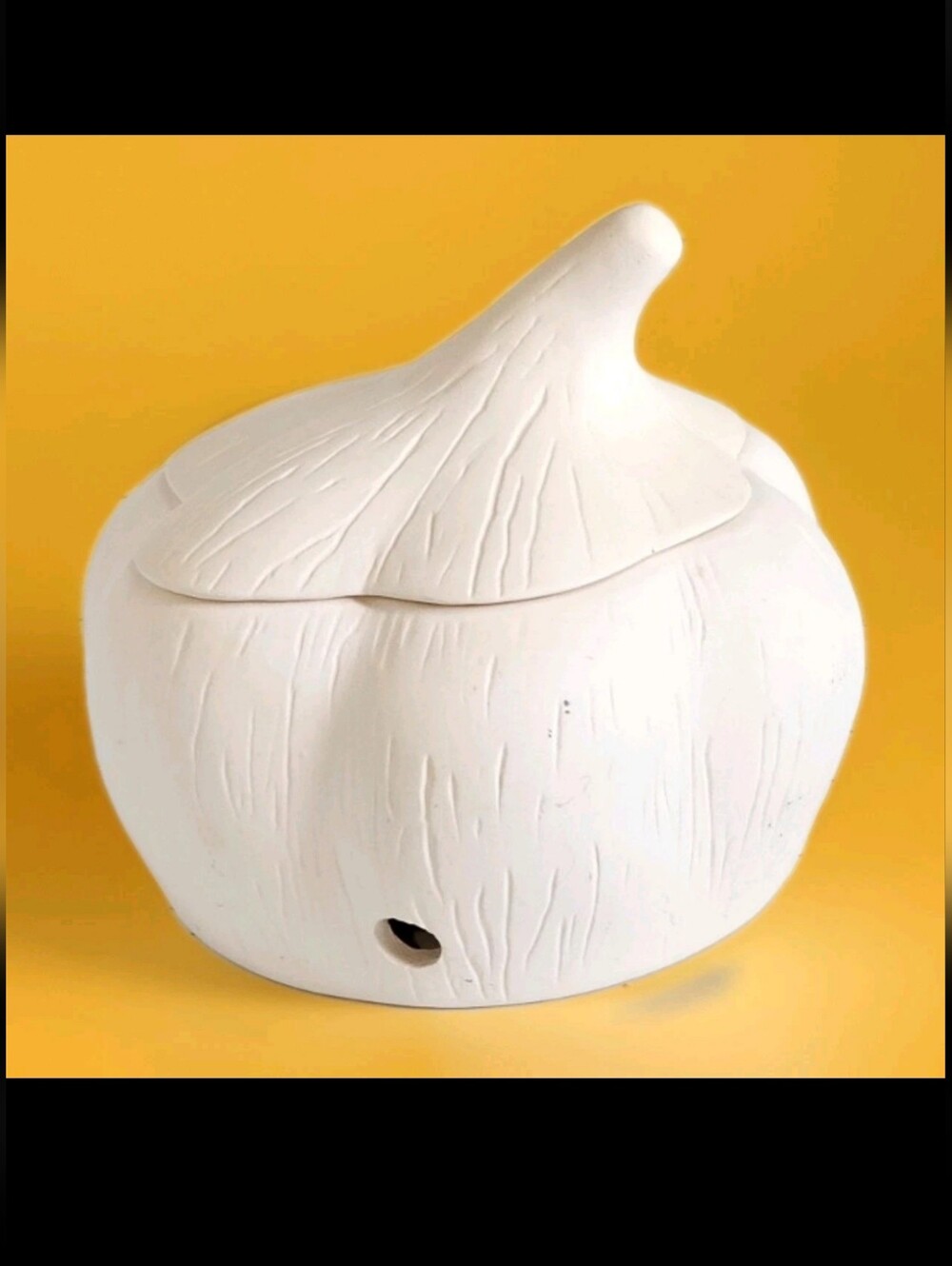 NWOT, World Market vtg White terra Catta Garlic Shaped Kitchen Canister w/Lid